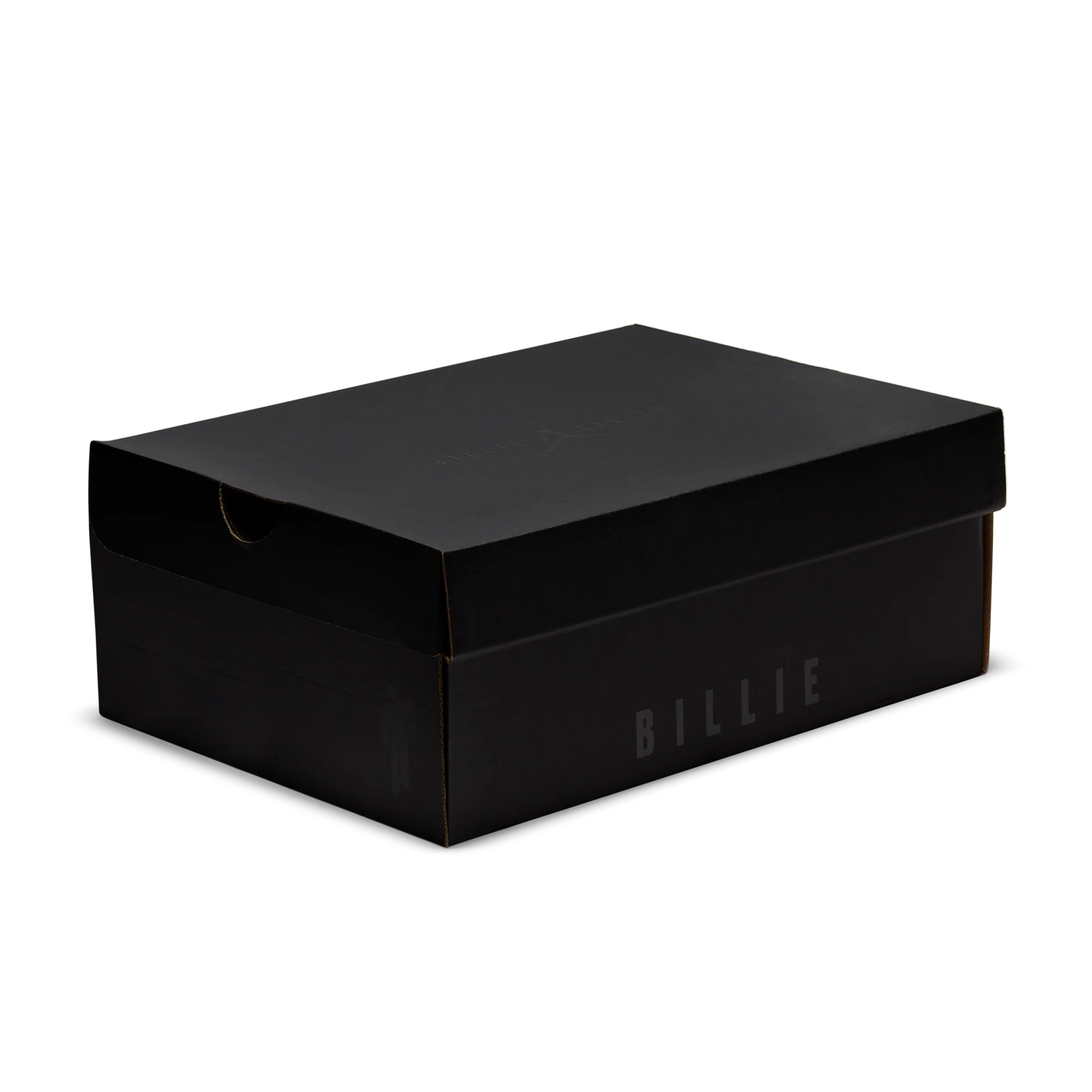 Billie Eilllish x Air Jordan 1 KO